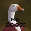 Mr. Xander Goose