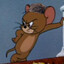 jerry the indian mouse