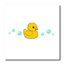 Ducki3-