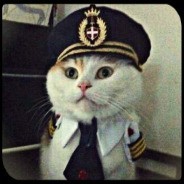 ОФИЦЕР КОТИК