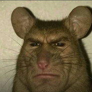 xd