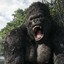 1_KingKong_1