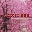iAlixit&#039;666