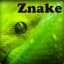 Znake