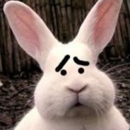 徐小白