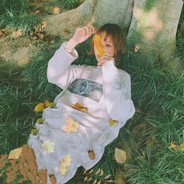 你家的猫会写诗吗