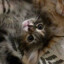 KISSME