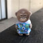 dismytwinrasmus