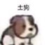 Noob