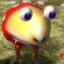 Big Bulborb Enjoyer