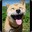 Собака_Улыбака