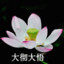 大彻大悟