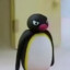 NOOT NOOT