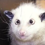 Zloi_Opossum