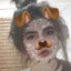 _PaRaNo1k_