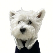 今夜我在德令哈