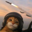 Cooliowyi
