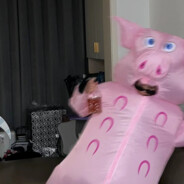 世界是个动物园