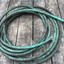 Dirty_Garden_Hose