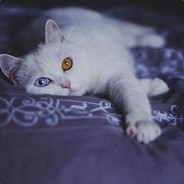 只配吃烂分嘛QAQ