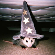 DiscOpossum