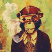 knoe - steam id 76561197960627526