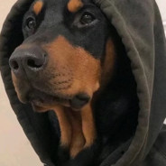 凶猛冲击的悍弟