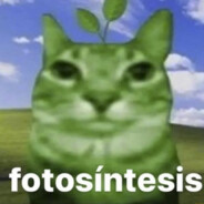 fotosíntesis