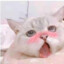 ❤把猫猫草到高潮❤