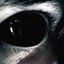 Star-Eyes