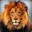 Lionllee