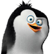 Skipper_konfident_skins.army