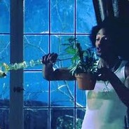 Minister of Cannabis Jr.