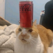capy