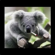 KOALA 157