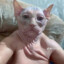 BHE_3aKoHa 3aHyqa 6poq9ra