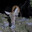 ashypoopypants22