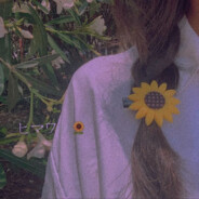 刚被太阳收拾去