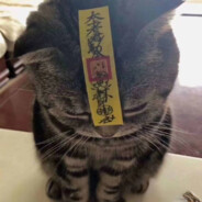 神灯 神灯 神不愣灯