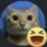 ¡SKWAREKPEEK Sibasss