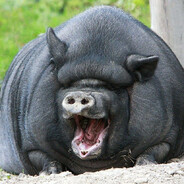 Smo(KING) Drin(KING) - steam id 76561199648610031