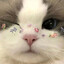 T1M0F0N:3