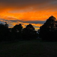 𝕸𝖆𝖝𝖝𝖝𝖎𝖊