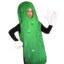 Man in The Pickle Suit