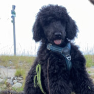 sevrax