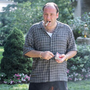 tony soprano's avatar