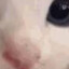 CATYalyst