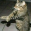 Ramses