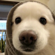 君のことが好きだ