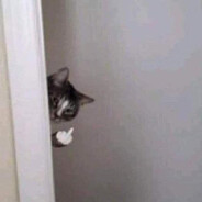 Why Peek